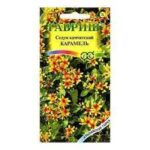 Цветы мн. Очиток "Карамель (камчатский)" 0,01 г Гавриш