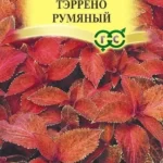 Цветы одн. Колеус "Тэррено румяный" 4шт Гавриш