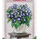 Цветы одн. Торения "Герцогиня" 5шт ЕС