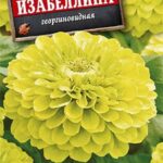 Цветы одн. Цинния "Изабеллина" 0,3г Аэлита