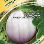 Баклажан "Зефир" 0,1 г Гавриш