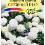 Цветы одн. Пиретрум "Снежный шар" 0,01г Гавриш
