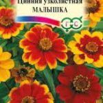 Цветы одн. Цинния "Малышка" карликовая 0,3г Гавриш