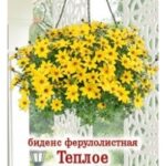 Цветы одн. Биденс "Теплое солнышко" 0,2г ЕС