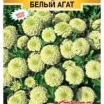 Цветы одн. Цинния "Розетта Белый Агат" 5шт ЕС