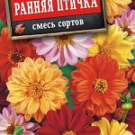 Георгина "Ранняя птичка" махр смесь 0,3г