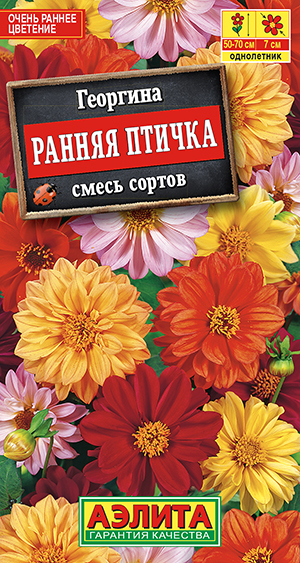 Георгина "Ранняя птичка" махр смесь 0,3г