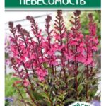 Цветы мн. Лобелия "Невесомость" прекрасная 3 шт ЕС