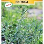 П Розмарин "Бирюса" лекарственный 0,03г ЕС