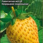 Земляника "Золотинка" 10шт CC