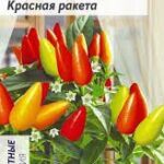 Перец декоративный "Красная Ракета" 0,1г СА