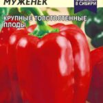 Перец сладкий "Примерный Муженек" 0,1г СА