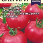 Томат "Снегири" 0,05г СА
