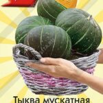 Тыква "Оранжерейка мускатная" 5шт (Аэлита)