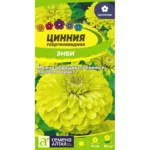 Цветы одн. Цинния "Энви" 0,3г СА
