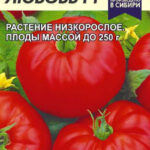 Томат "Любовь F1" 15шт СА