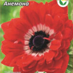 Анемоны "Говернер", в упаковке 10 шт., цена за 1 шт.
