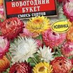 Цветы одн. Гелихризиум "Новогодний букет" смесь 0,3 Аэлита