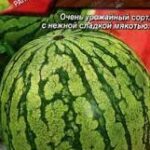 Арбуз "АУ Продюсер ПВП" 1г Аэлита 
