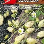 Земляника "Белоснежка" 0,03г Аэлита 