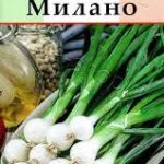 Лук "Милано" на зелень 0,5г Аэлита
