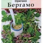 П Орегано "Бергамо" 0,05г Аэлита