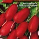 Редис "Две декады" 2г Аэлита