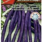 Фасоль "Блюхильда" вьющаяся 5г Аэлита