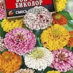 Цветы одн. Цинния "Бон-бон биколор" смесь 0,3г Аэлита