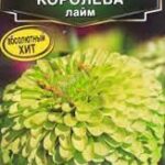 Цветы одн. Цинния "Королева лайм" 5шт Аэлита