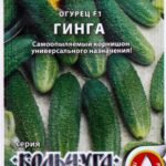 Огурец "Гинга F1" 10шт кольчуга