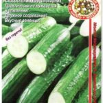 Огурец "Машенька F1" 0,25г Аэлита
