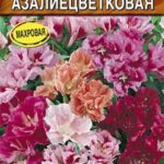 Цветы одн. Годеция "Азалиецветковая" смесь 0,05г Аэлита