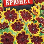 Цветы одн. Космидиум "Брюнет" 0,1г Аэлита
