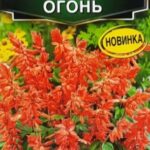 Цветы одн. Сальвия "Огонь" 0,05г Аэлита