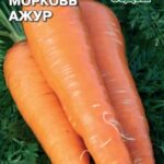 Морковь "Ажур" 2г Седек