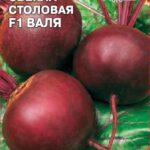 Свекла "Валя" 3г Седек