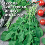 Руккола "Виктория" 1г Седек
