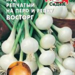 Лук "Восторг" (репчатый на перо и репку) 1г Седек