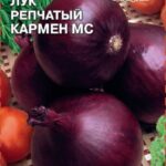 Лук "Кармен МС" 0,5г  Седек