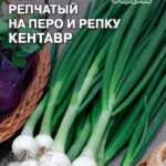 Лук "Кентавр" (репчатый на перо и репку) 1г Седек