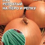 Лук "На перо и репку" 1г Седек