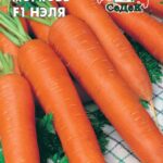 Морковь "Нэля F1" 2г Седек