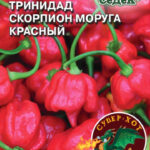 Перец острый "Тринидад Моруга Скорпион красный" 5шт Седек