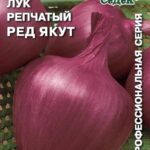 Лук "Ред Якут" репчатый 0,5г Седек