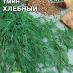 П Тмин "Хлебный" 0,3г Седек