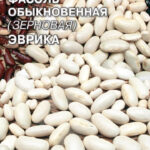 Фасоль "Эврика" зерновая 5г Седек