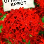 Цветы мн. Зорька "Огненный крест" 0,1г Аэлита