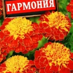 Цветы одн. Бархатцы "Гармония"  0,3г Аэлита