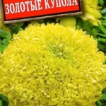 Цветы одн. Бархатцы "Золотые купола" 0,2г Аэлита